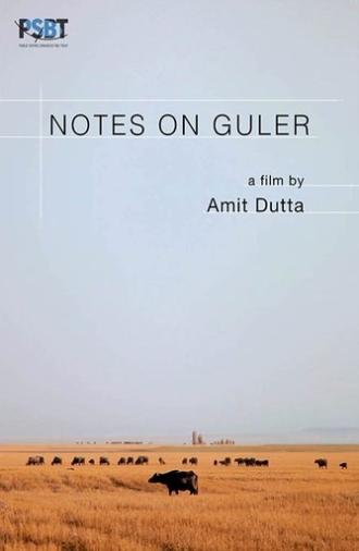 Notes on Guler (2019)