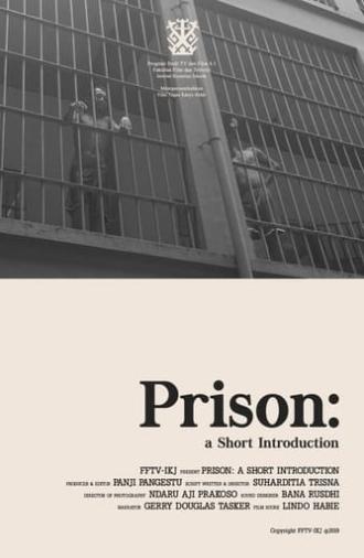 Prison: A Short Introduction (2019)