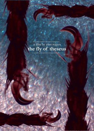 The Fly of Theseus (2026)