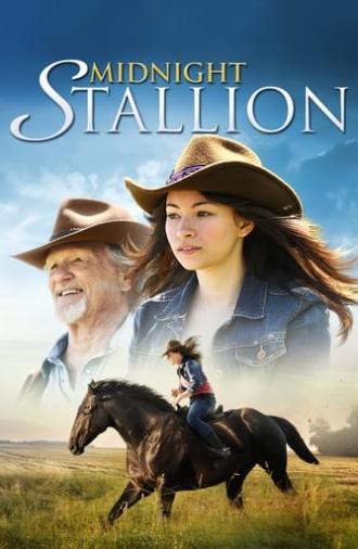 Midnight Stallion (2013)