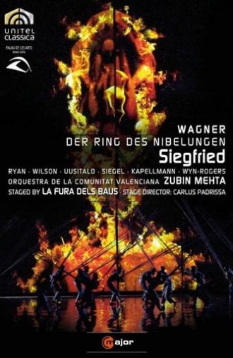 Wagner: Siegfried (2010)
