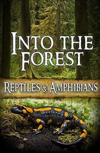 Into the Forest: Reptiles & Amphibians (2019)