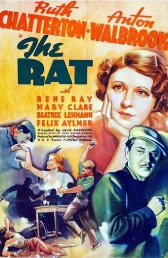 The Rat (1937)