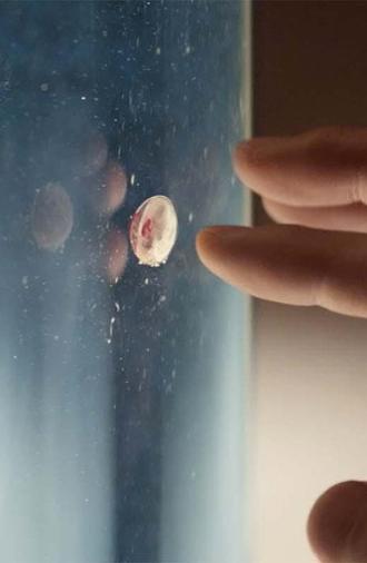 For You (2026)
