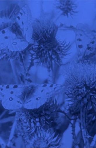 The Life of the Butterfly (1911)