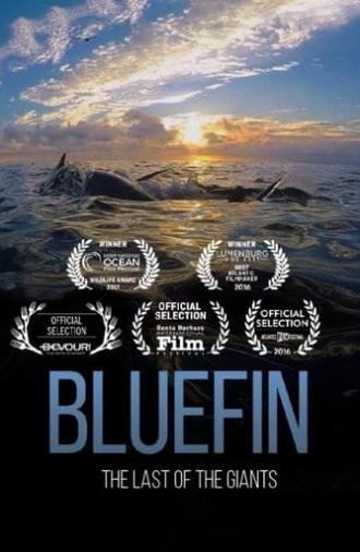 Bluefin (2017)