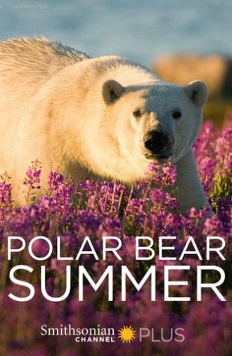 Polar Bear Summer (2015)