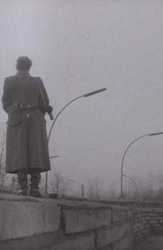Schutzwall (1965)