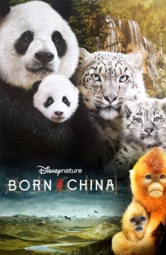 Born in China (2016)