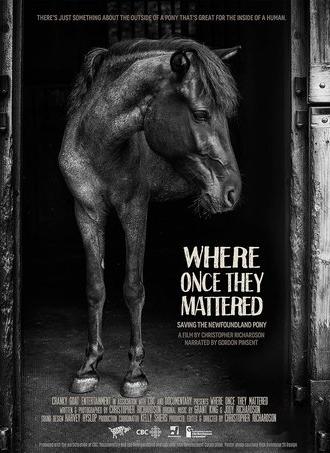 Where Once They Mattered (2015)