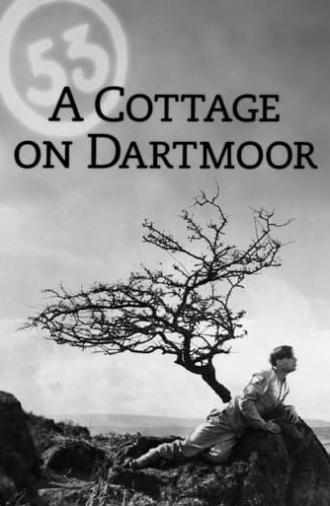 A Cottage on Dartmoor (1929)