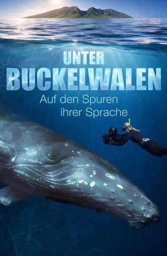 Among Humpback Whales (2026)