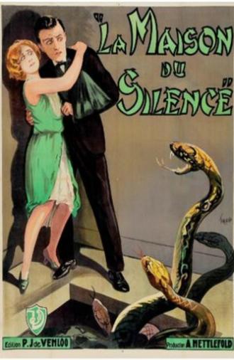 The Silent House (1929)