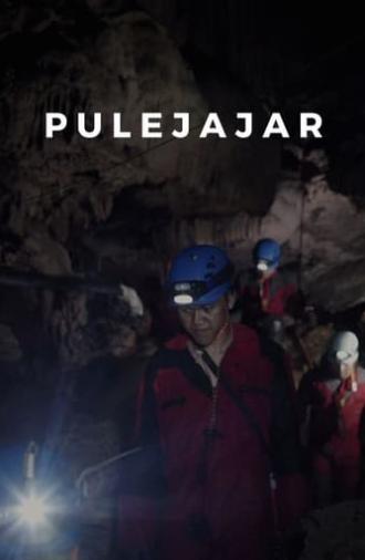 Pulejajar (2020)