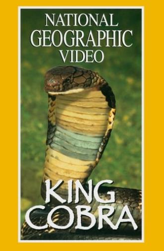 King Cobra (1997)