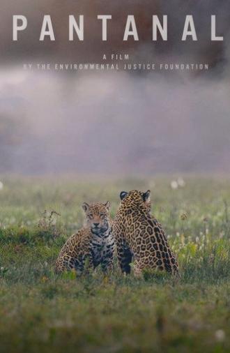 Pantanal (2024)