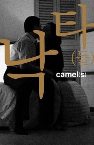 Camel(s) (2002)