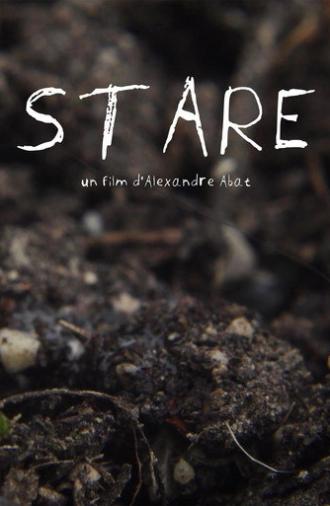 Stare (2026)