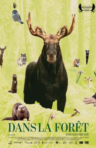In the Forest (2025)
