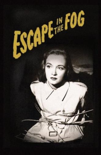 Escape in the Fog (1945)