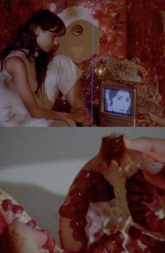 what does it feel like to live inside a pomegranate? (2026)