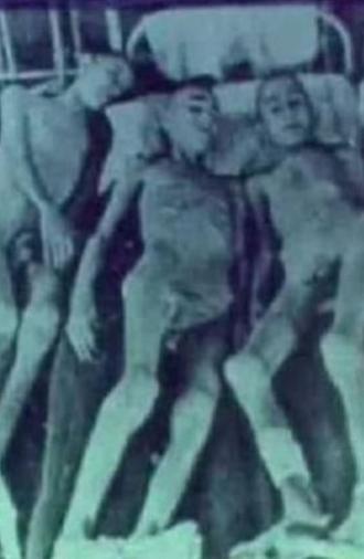 Περιπτώσεις του ΟΧΙ (1965)