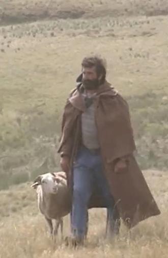 Shepherd and beyond (1994)
