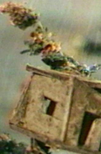The Hundred Videos #4 (1996)