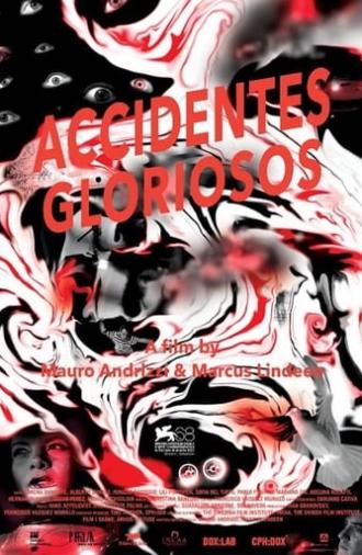 Glorious Accidents (2011)