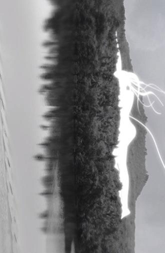 Umbilical Cord to Heaven (2020)
