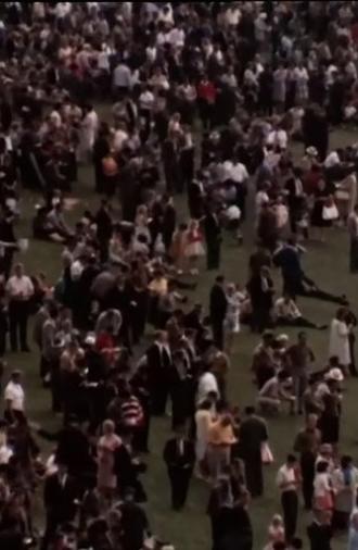 This Auckland (1967)