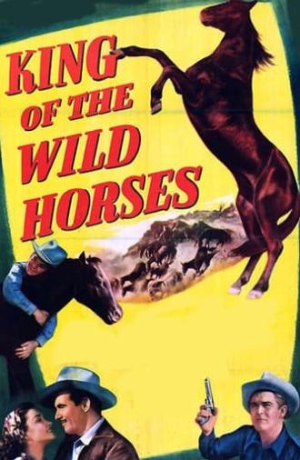 King of the Wild Horses (1947)