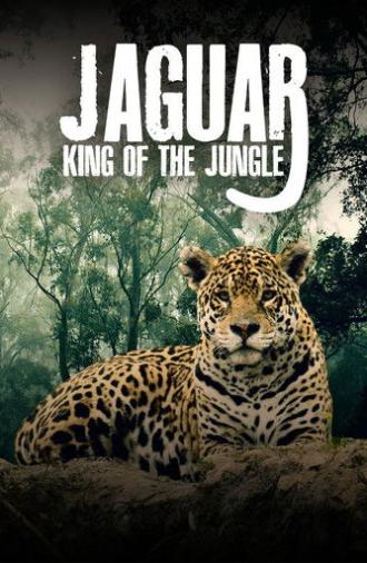 Jaguar: King of the Jungle (2020)