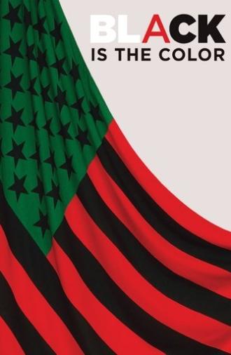 Black Is the Color: African-American Artists and Segregation (2016)