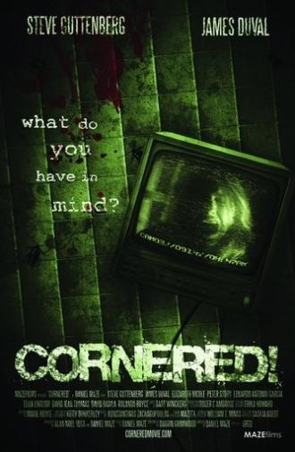 Cornered! (2009)