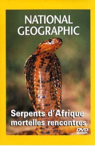 African Snakes (2001)