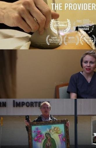 The Provider (2015)