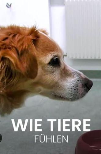 Wie Tiere fühlen (2016)