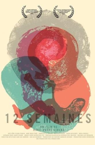 12 Weeks (2015)
