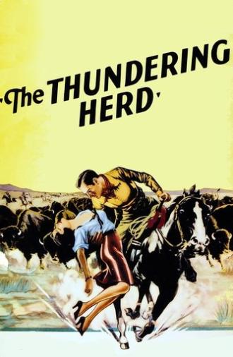 Buffalo Stampede (1933)