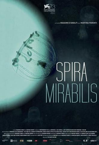 Miraculous Spiral (2016)