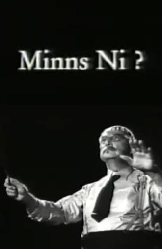 Minns ni? (1993)