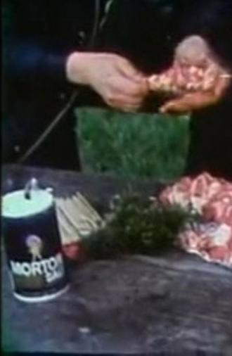 Hrvati! (1982)