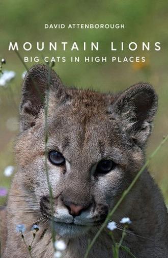 Mountain Lions: Big Cats in High Places (2014)