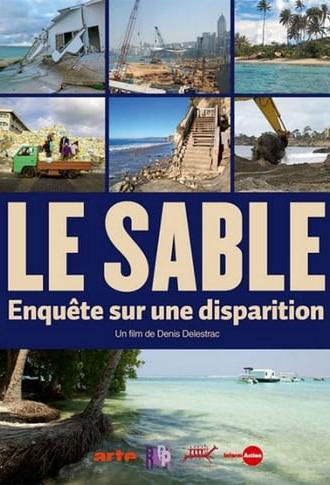 Le sable - Enquête sur une disparition (2013)