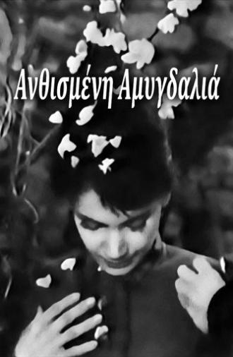 Blossoming Almond Tree (1959)