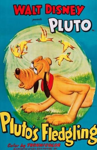 Pluto's Fledgling (1948)