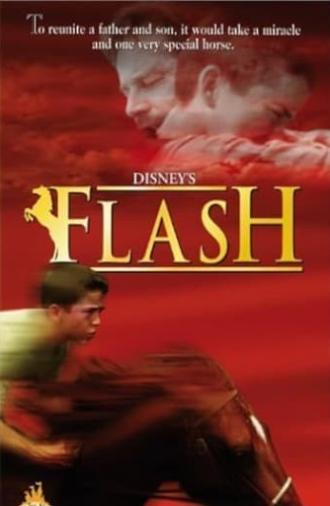 Flash (1997)