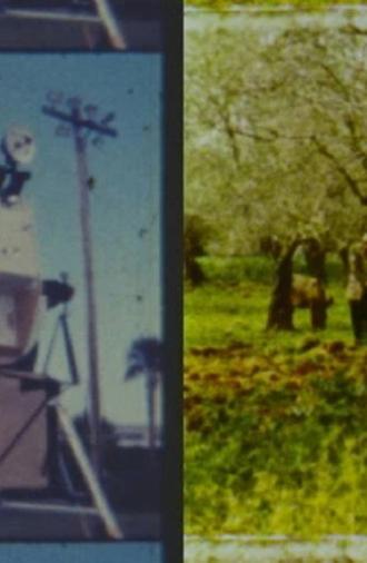 Fragmented Memories (2025)