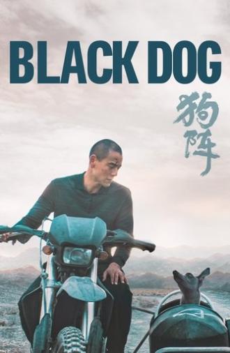 Black Dog (2024)